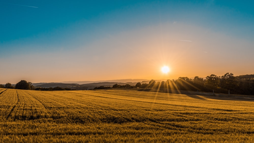 Campos y sierra de Los Llanos al atardecer